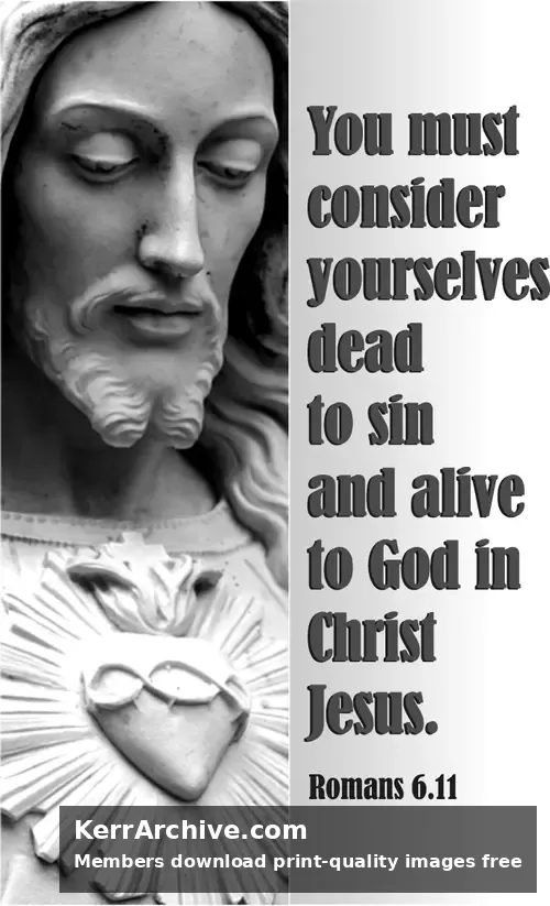 Year A After Pentecost Proper 7 (grayscale)