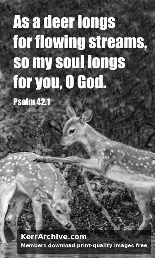 Year C After Pentecost Proper 7 — Psalms 42:1 (grayscale)