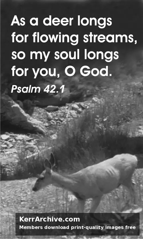 Year C After Pentecost Proper 7 (grayscale)
