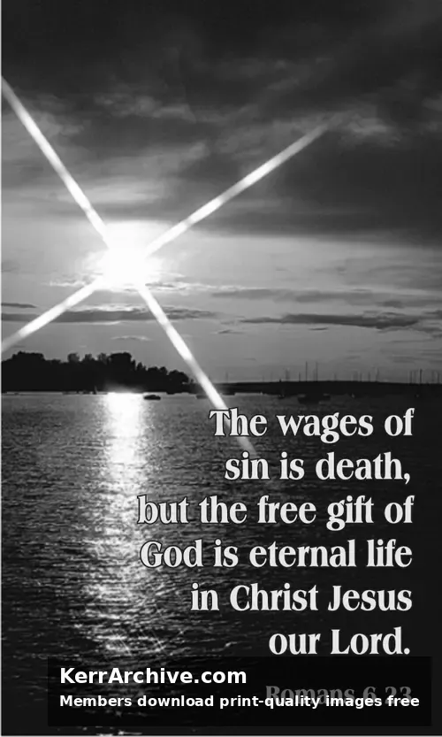 Year A After Pentecost Proper 8 (grayscale)