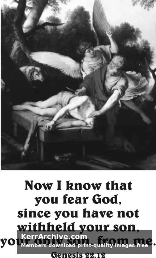 Year A After Pentecost Proper 8 (grayscale)