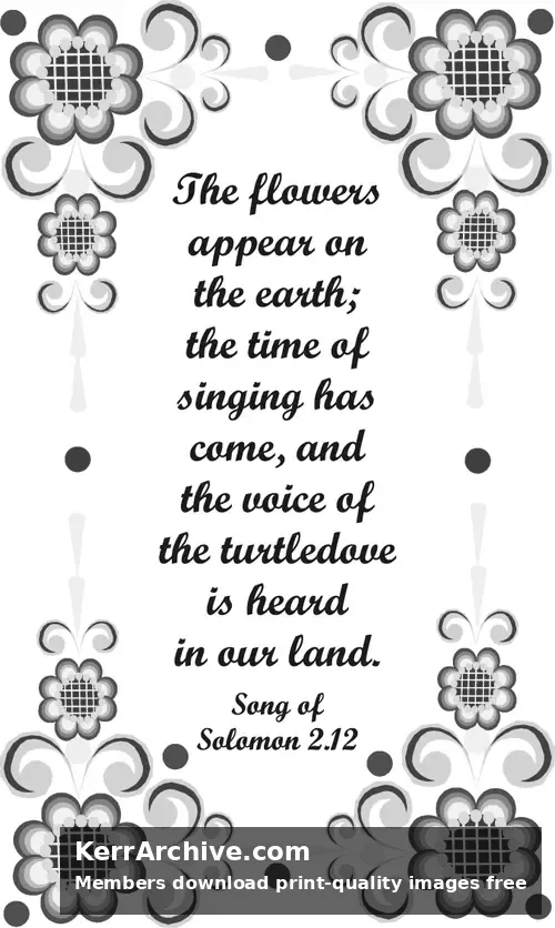 Year A After Pentecost Proper 9 (grayscale)