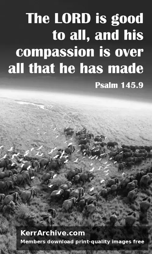 Year A After Pentecost Proper 9 — Psalms 145:9 (grayscale)