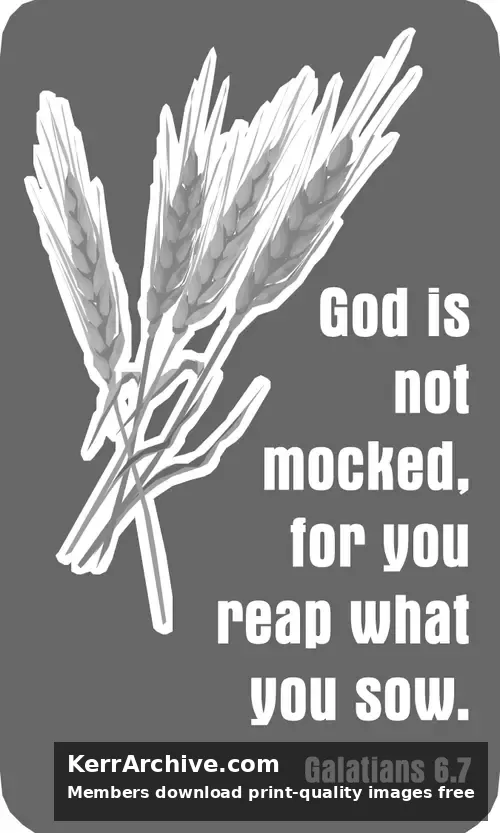 Year C After Pentecost Proper 9 (grayscale)