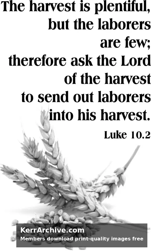 Year C After Pentecost Proper 9 — Luke 10:2 (grayscale)