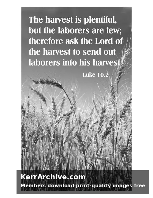 Year C After Pentecost Proper 9 — Luke 10:2 (grayscale)