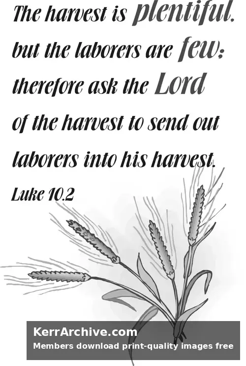 Year C After Pentecost Proper 9 (grayscale)