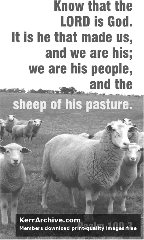 Year A After Pentecost Reign of Christ (Proper 29) (grayscale)
