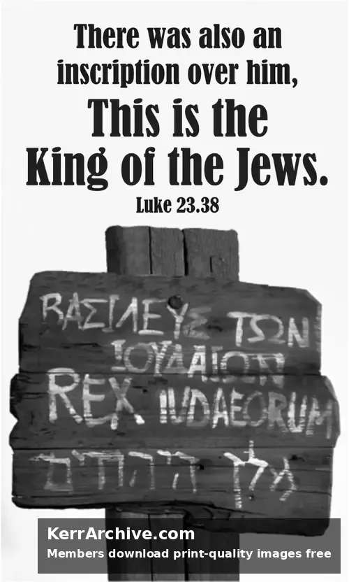 Year C After Pentecost Reign of Christ (Proper 29) (grayscale)