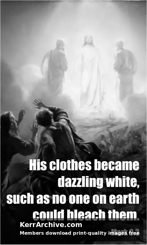 Year B Epiphany Transfiguration Sunday (grayscale)