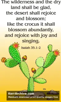 Year A Advent Third Sunday
