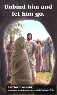 Year B After Pentecost All Saints Day