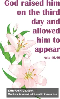 Year A Easter Easter Sunday