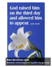 Year C Easter Sunday — Acts 10:40