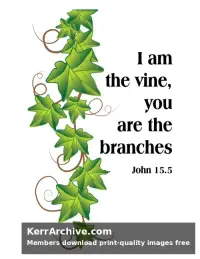 Year B Easter Sunday — John 15:5