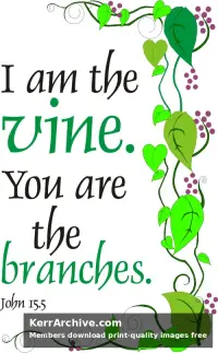 Year B Easter Fifth Sunday
