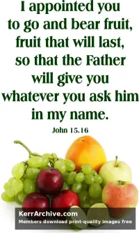 Year B Easter Sixth Sunday
