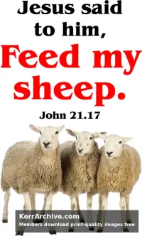 Year C Easter Sunday — John 21:17