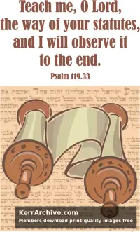 Year A Epiphany Seventh Sunday