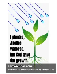 Year A Epiphany Six Sunday — 1 Corinthians 3:6