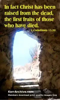 Year C Epiphany Six Sunday — 1 Corinthians 15:20