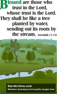Year C Epiphany Sixth Sunday