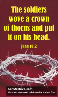 Year B Holy Week Good Friday
