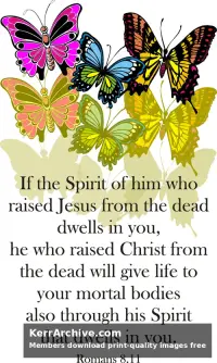 Year A Lent Fifth Sunday