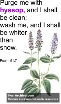 Lent Fifth ps
