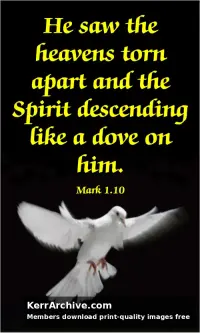 Year B Lent First Sunday