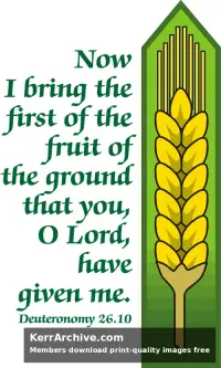 Year C Lent First Sunday