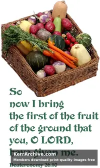 Year C Lent First Sunday