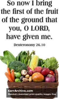 Year C Lent First Sunday — Deuteronomy 26:10