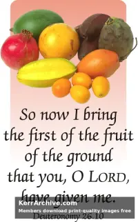 Year C Lent First Sunday