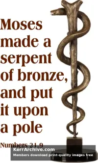 Year B Lent Four Sunday — Numbers 21:9