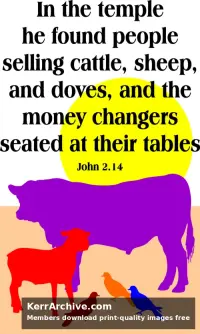 Year B Lent Sunday — John 2:14