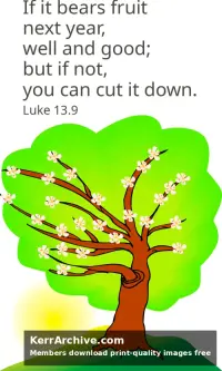 Year C Lent Third Sunday