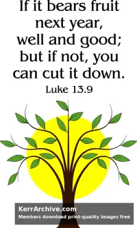 Year C Lent Sunday — Luke 13:9