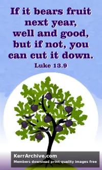 Year C Lent Sunday — Luke 13:9