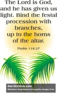 Year A Lent Palm/Passion Sunday