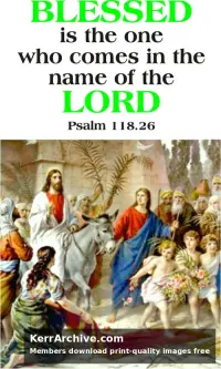 Year B Lent Palm/Passion Sunday