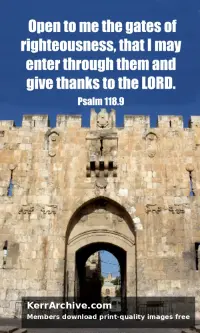 Palm Sunday B6