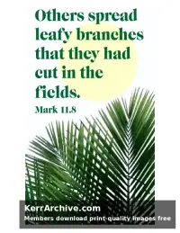 Palm Sunday — Mark 11:8