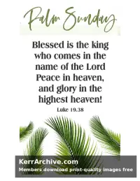 Palm Sunday — Luke 19:38