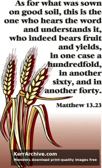 Year A After Pentecost Proper 10