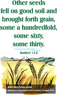 Year A After Pentecost Proper 10
