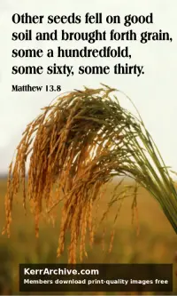 Year A After Pentecost Proper 10 — Matthew 13:8