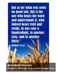 Year A After Pentecost Proper 10 — Matthew 13:23