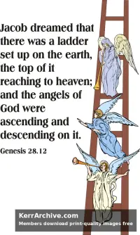 Year A After Pentecost Proper 11