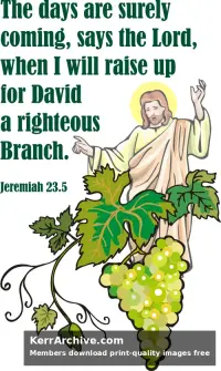 Year B After Pentecost Proper 11